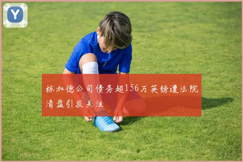 林加德公司债务超156万英镑遭法院清盘引发关注