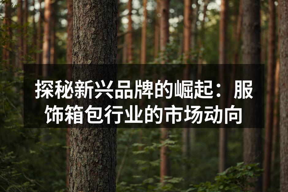 探秘新兴品牌的崛起：服饰箱包行业的市场动